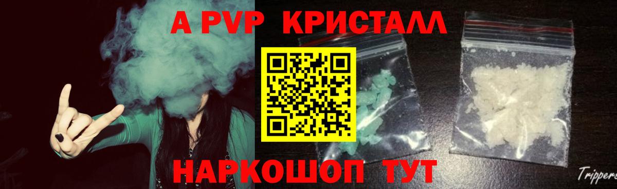 Alfa_PVP СК КРИС Славгород